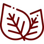 Исключительная натуральность